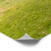 Bergen | Boliviaanse Andes Poster (Hoek)