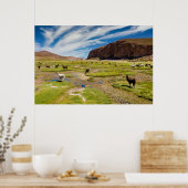 Bergen | Boliviaanse Andes Poster (Keuken)