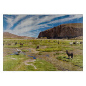 Bergen | Boliviaanse Andes Snijplank (Voorkant)