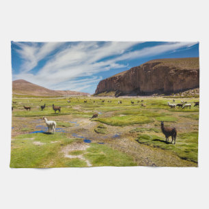 Bergen Boliviaanse Andes Theedoek