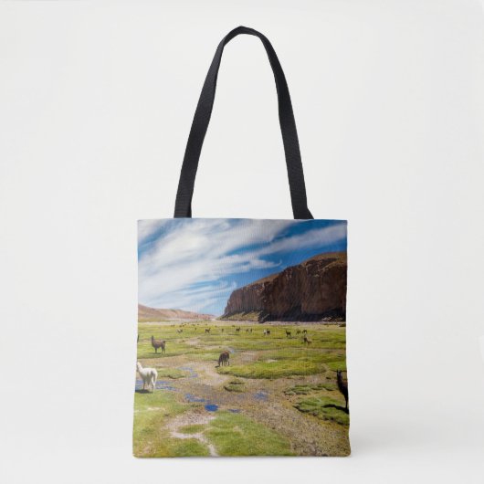 Bergen | Boliviaanse Andes Tote Bag (Voorkant)