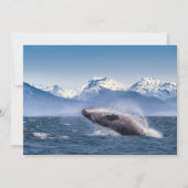 Bergen | Breach Whale Glacier Bay, Alaska Bedankkaart (Voorkant)