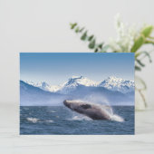 Bergen | Breach Whale Glacier Bay, Alaska Bedankkaart (Staand voorkant)