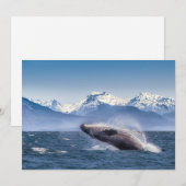 Bergen | Breach Whale Glacier Bay, Alaska Bedankkaart (Voorkant / Achterkant)
