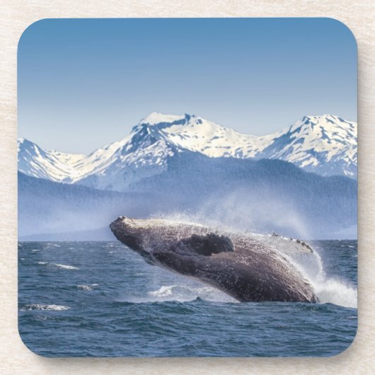 Bergen | Breach Whale Glacier Bay, Alaska Bier Onderzetter (Voorkant)