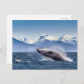 Bergen | Breach Whale Glacier Bay, Alaska Briefkaart (Voorkant / Achterkant)