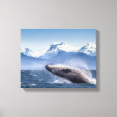 Bergen | Breach Whale Glacier Bay, Alaska Canvas Afdruk (Voorkant)