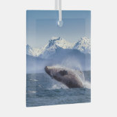 Bergen | Breach Whale Glacier Bay, Alaska Glas Ornament (Voorkant Rechts)