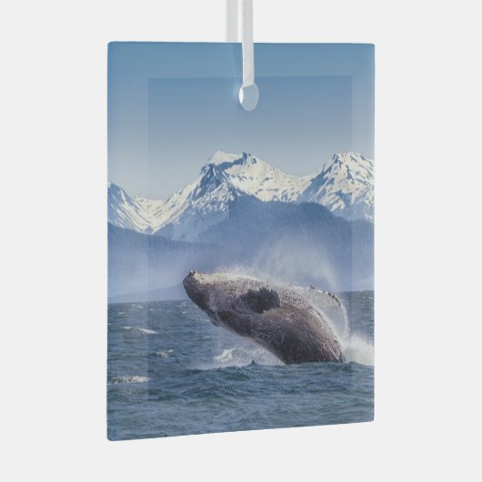 Bergen | Breach Whale Glacier Bay, Alaska Glas Ornament (Voorkant Rechts)