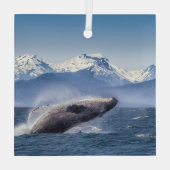Bergen | Breach Whale Glacier Bay, Alaska Glas Ornament (Achterkant)