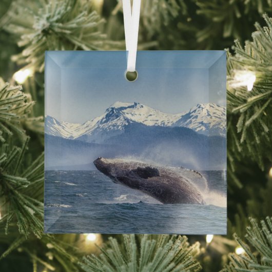 Bergen | Breach Whale Glacier Bay, Alaska Glas Ornament (Insitu)