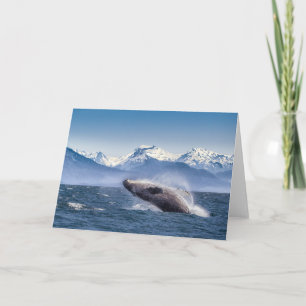 Bergen Breach Whale Glacier Bay, Alaska Kaart