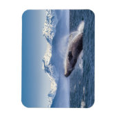 Bergen | Breach Whale Glacier Bay, Alaska Magneet (Verticaal)