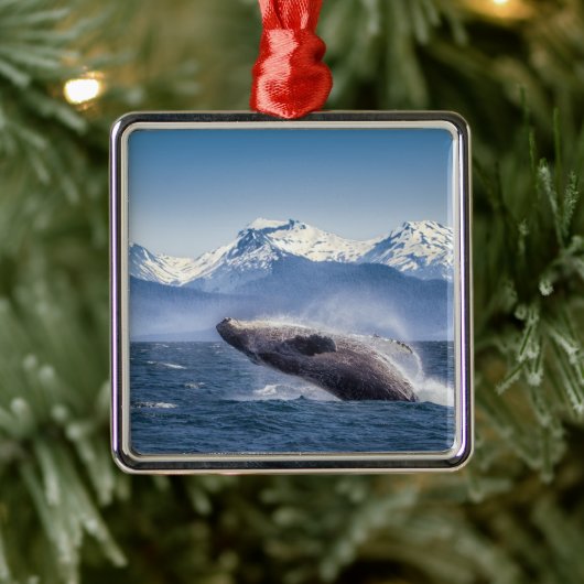 Bergen | Breach Whale Glacier Bay, Alaska Metalen Ornament (Boom)