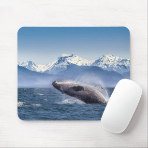 Bergen Breach Whale Glacier Bay, Alaska Muismat
