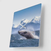 Bergen | Breach Whale Glacier Bay, Alaska Vierkante Klok (Hoek)
