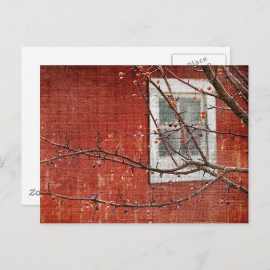 Bergen en Barn Briefkaart (Voorkant / Achterkant)