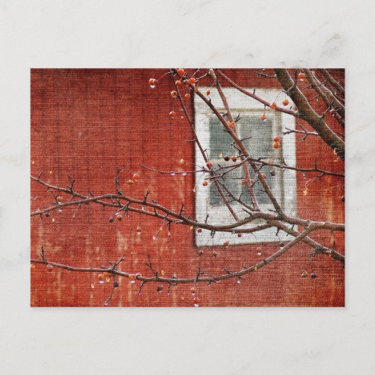 Bergen en Barn Briefkaart (Voorkant)