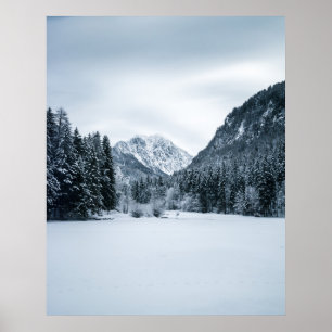 Bergen en bevroren meer bij Zgornje Jezersko, Slov Poster