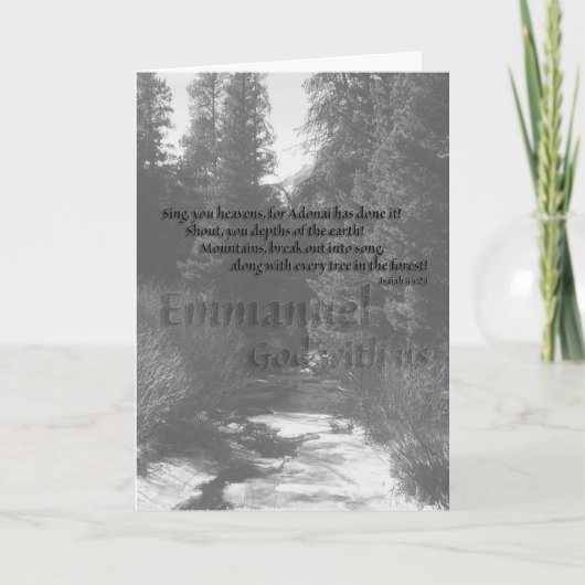 Bergen en BosKerstkaart Feestdagen Kaart (Voorkant)