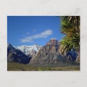 Bergen en Canyon-Uitzicht met sneeuw Briefkaart (Voorkant)