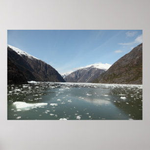 Bergen en Icebergs afdrukken Poster