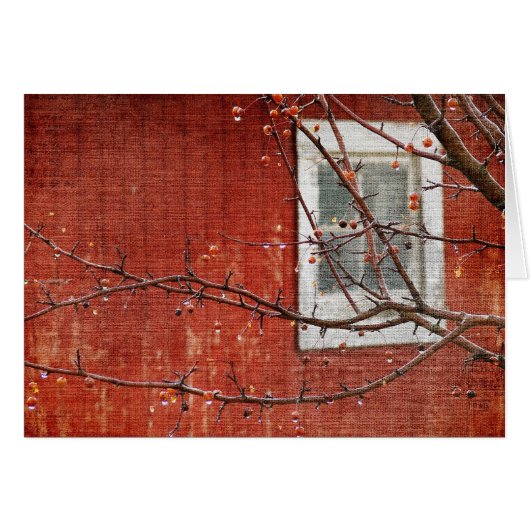 Bergen en rode Barn (Voorkant Horizontaal)