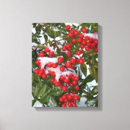 Bergen en sneeuw! canvas afdruk