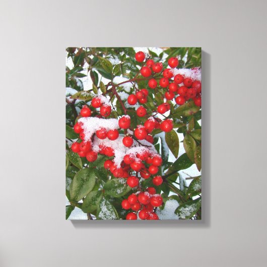 Bergen en sneeuw! canvas afdruk (Voorkant)