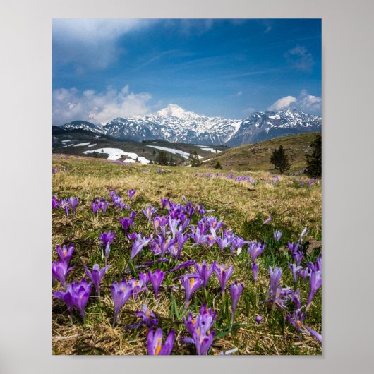 Bergen en snijbloemen op Velika Planina, Sl Poster (Voorkant)