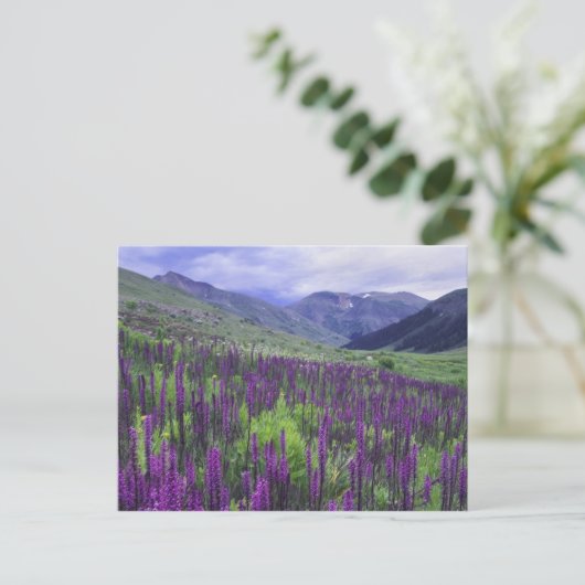 Bergen en wilde bloemen in alpenwei, 2 briefkaart (Staand voorkant)