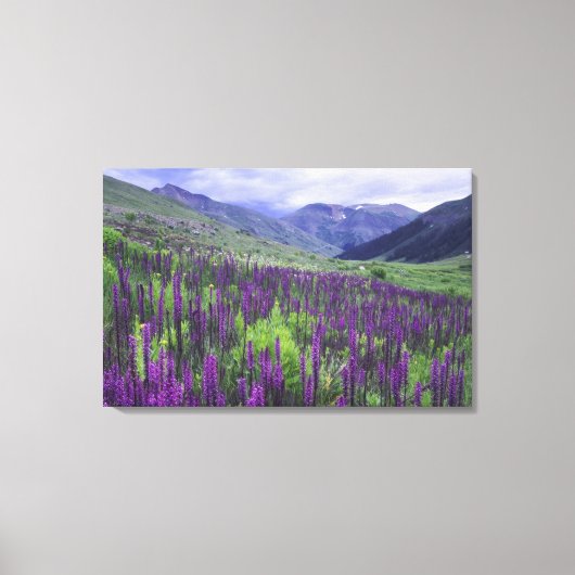 Bergen en wilde bloemen in alpenwei, 2 canvas afdruk (Voorkant)