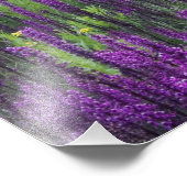 Bergen en wilde bloemen in alpenwei, 2 foto afdruk (Hoek)