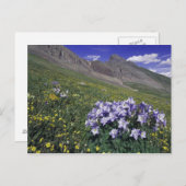 Bergen en wilde bloemen in alpenwei, blauw briefkaart (Voorkant / Achterkant)