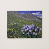 Bergen en wilde bloemen in alpenwei, blauw legpuzzel (Horizontaal)