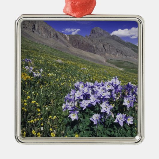 Bergen en wilde bloemen in alpenwei, blauw metalen ornament (Voorkant)