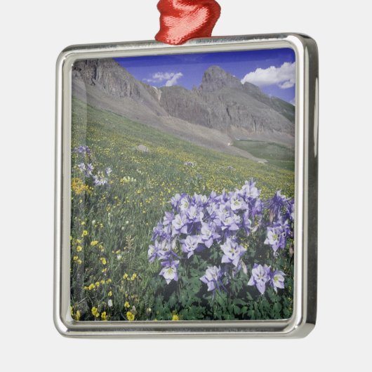 Bergen en wilde bloemen in alpenwei, blauw metalen ornament (Links)