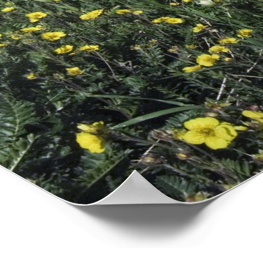 Bergen en wilde bloemen in alpenwei, blauw poster (Hoek)