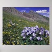 Bergen en wilde bloemen in alpenwei, blauw poster (Voorkant)