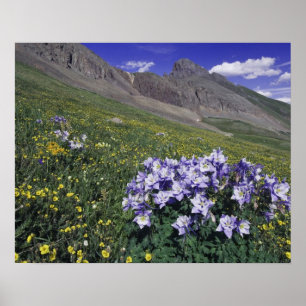 Bergen en wilde bloemen in alpenwei, blauw poster