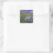 Bergen en wilde bloemen in alpenwei, blauw vierkante sticker (Tas)