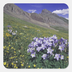 Bergen en wilde bloemen in alpenwei, blauw vierkante sticker