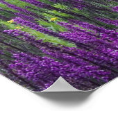 Bergen en wilde bloemen in alpiene weide, 2 poster (Hoek)