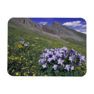 Bergen en wilde bloemen in alpiene weide, Blauw Magneet