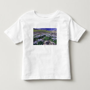 Bergen en wilde bloemen in alpiene weide, kinder shirts