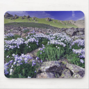 Bergen en wilde bloemen in alpiene weide, muismat