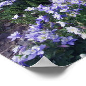 Bergen en wilde bloemen in alpiene weide, poster (Hoek)