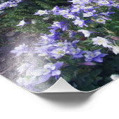 Bergen en wilde bloemen in de alpenweide, foto afdruk (Hoek)