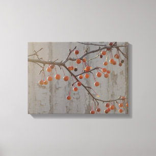 Bergen en witte Barn Canvas Afdruk