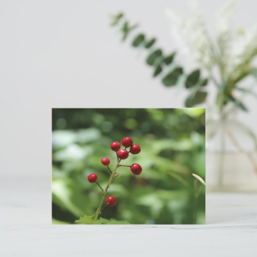 Bergen in de Berg Briefkaart (Staand voorkant)